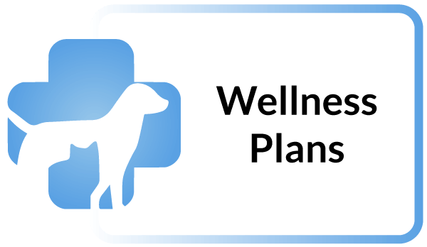 Animal Hospital Wellness Plans