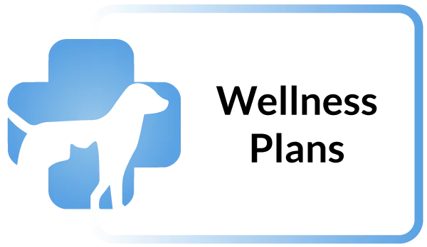Animal Hospital Wellness Plans